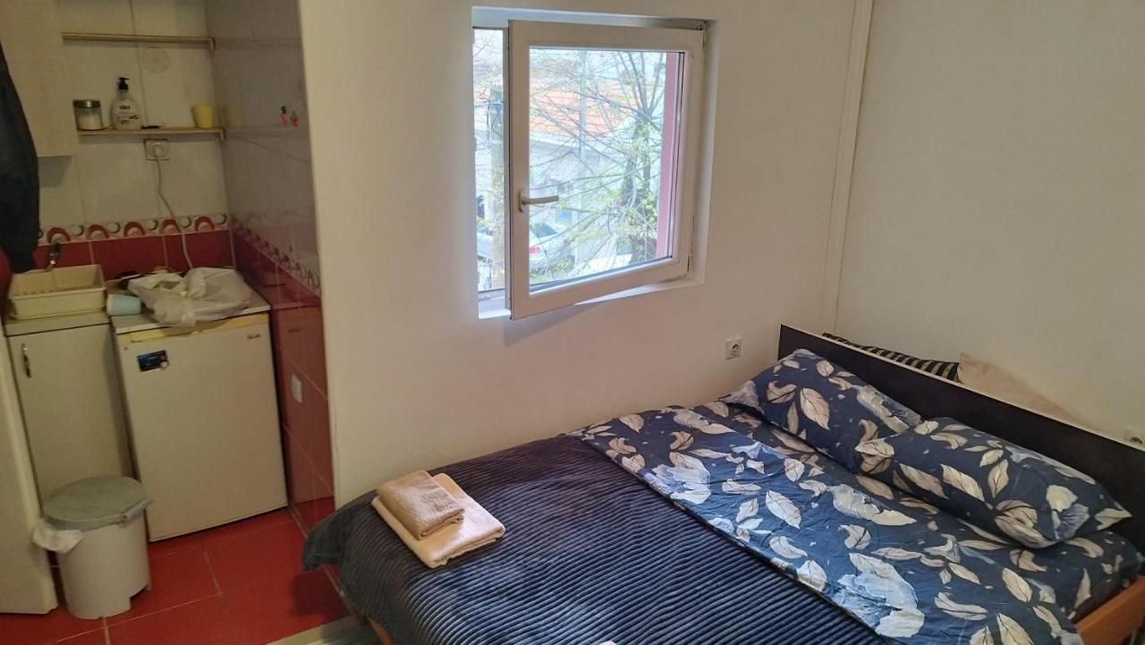Small Apartment Private Bathroom Strong Wi-Fi Belgrad Exterior foto